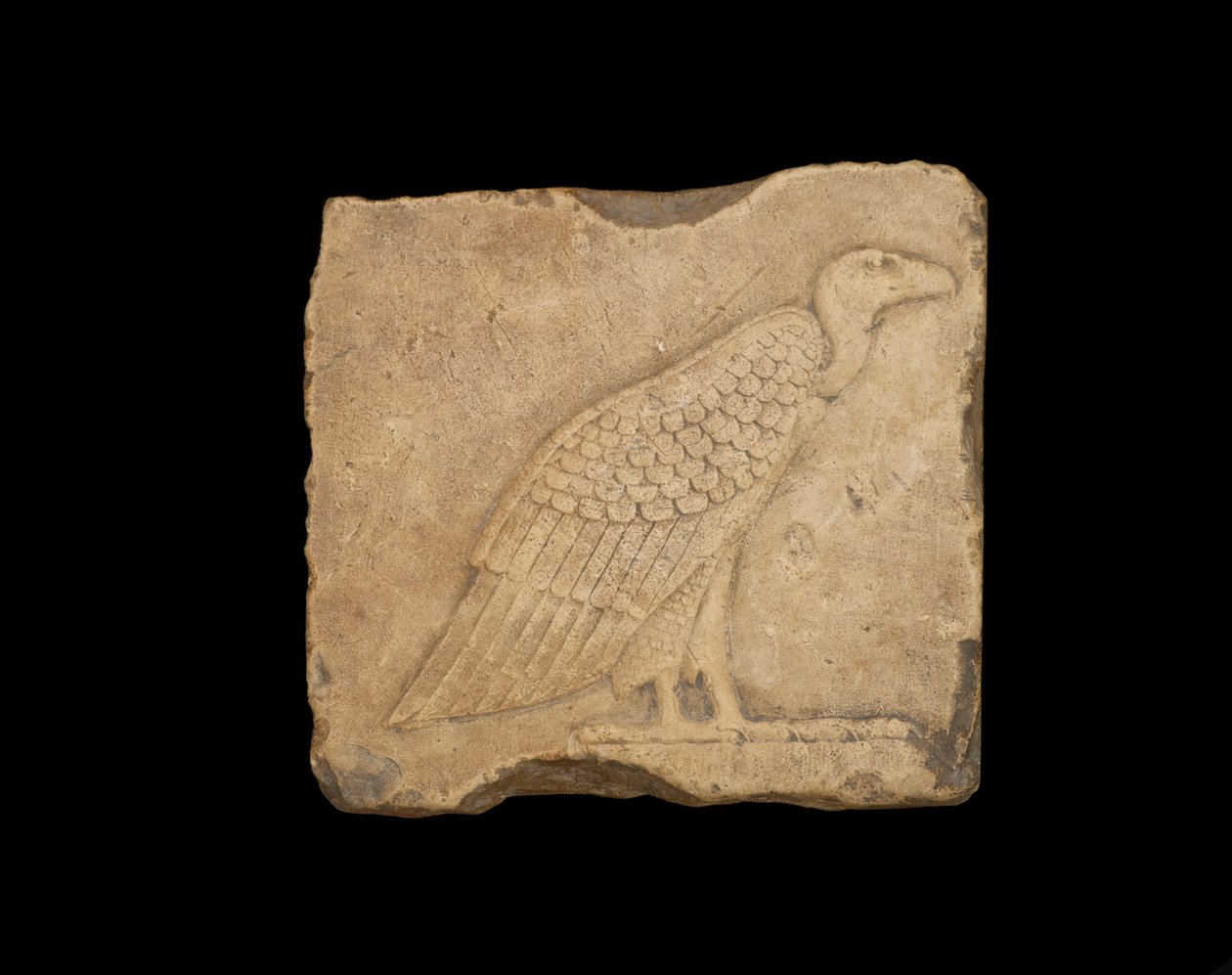 Ein Block mit einem stehenden Geier auf einer Seite und einer Eule auf der anderen Seite, beide im Flachrelief von Egyptian Ptolemaic Period
