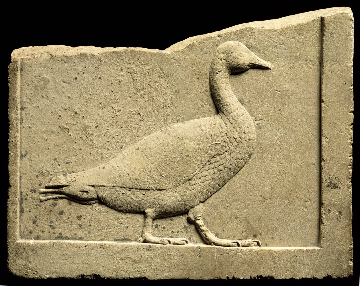 Relief, das eine Gans darstellt von Egyptian Ptolemaic Period