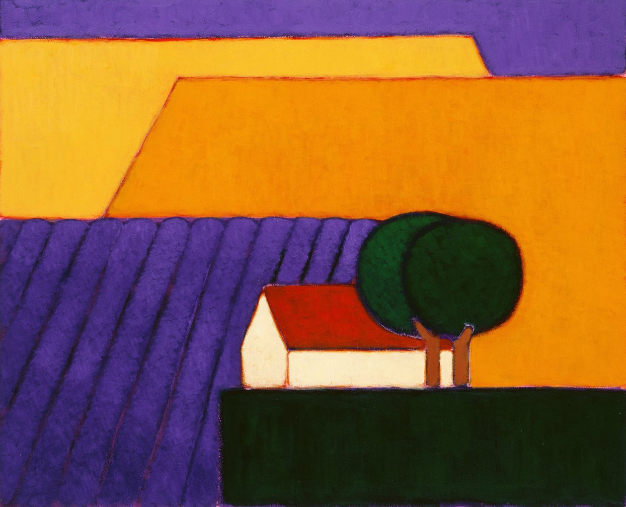 Lavendelfeld, Provence, 2004 von Eithne Contemporary Artist Donne