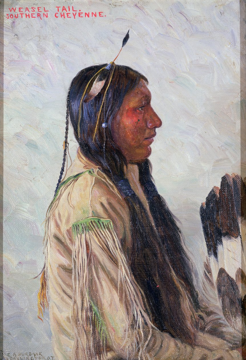 Wieselschwanz von Elbridge Ayer Burbank