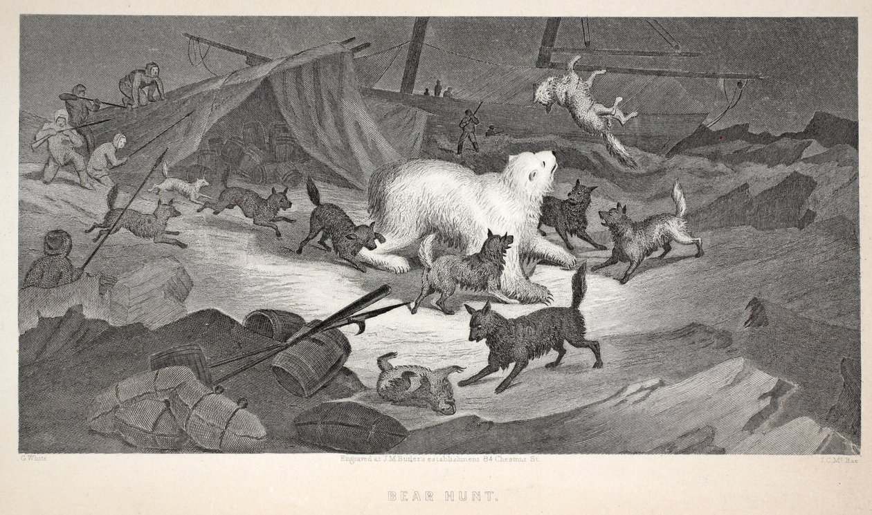 Bärenjagd, Illustration aus 