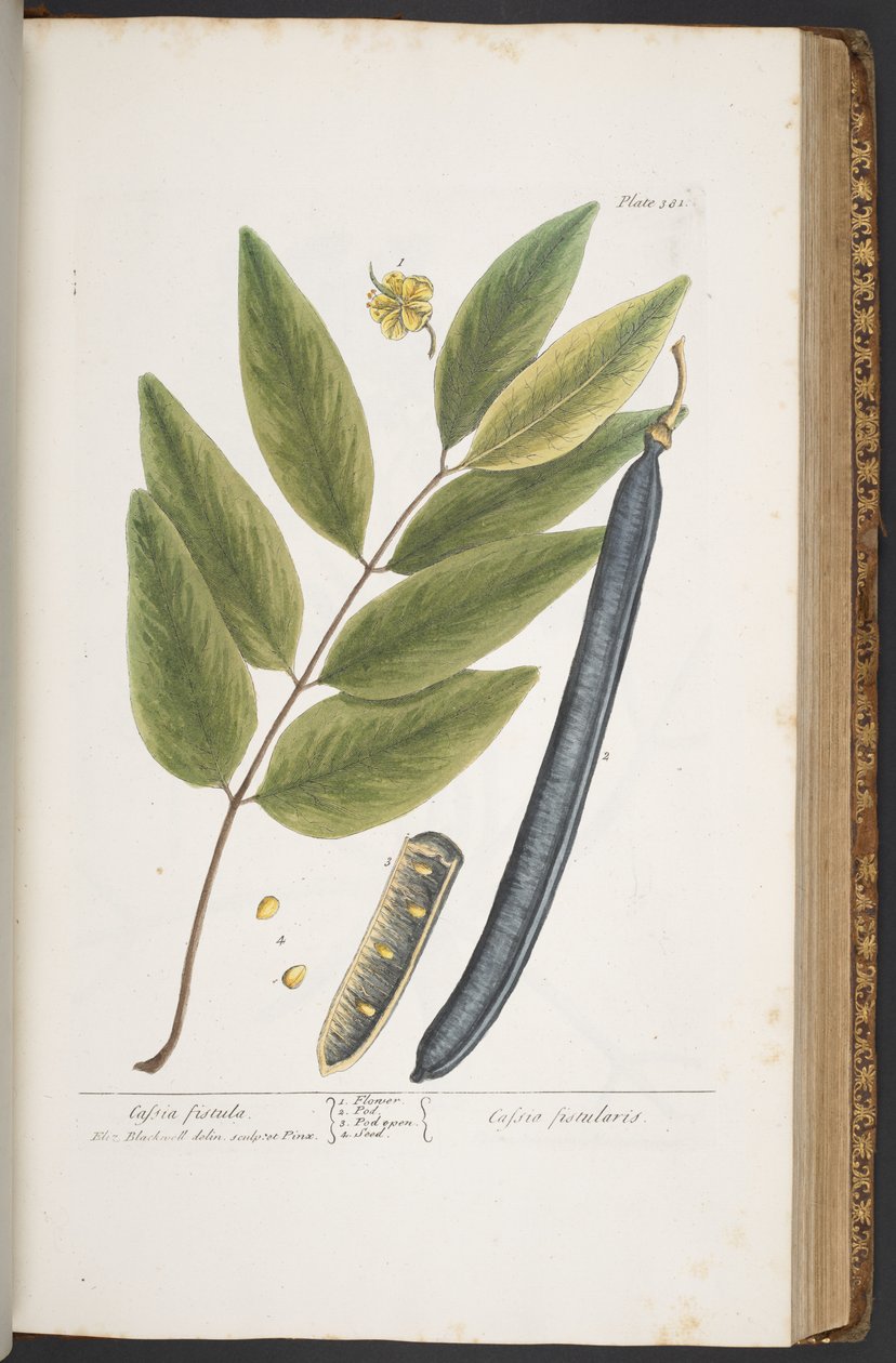 Tafel 381, aus 