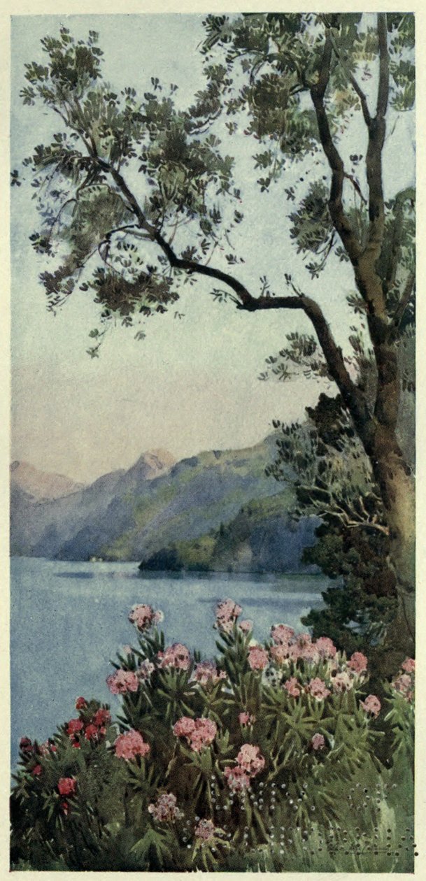 Lago di Como, Illustration aus 