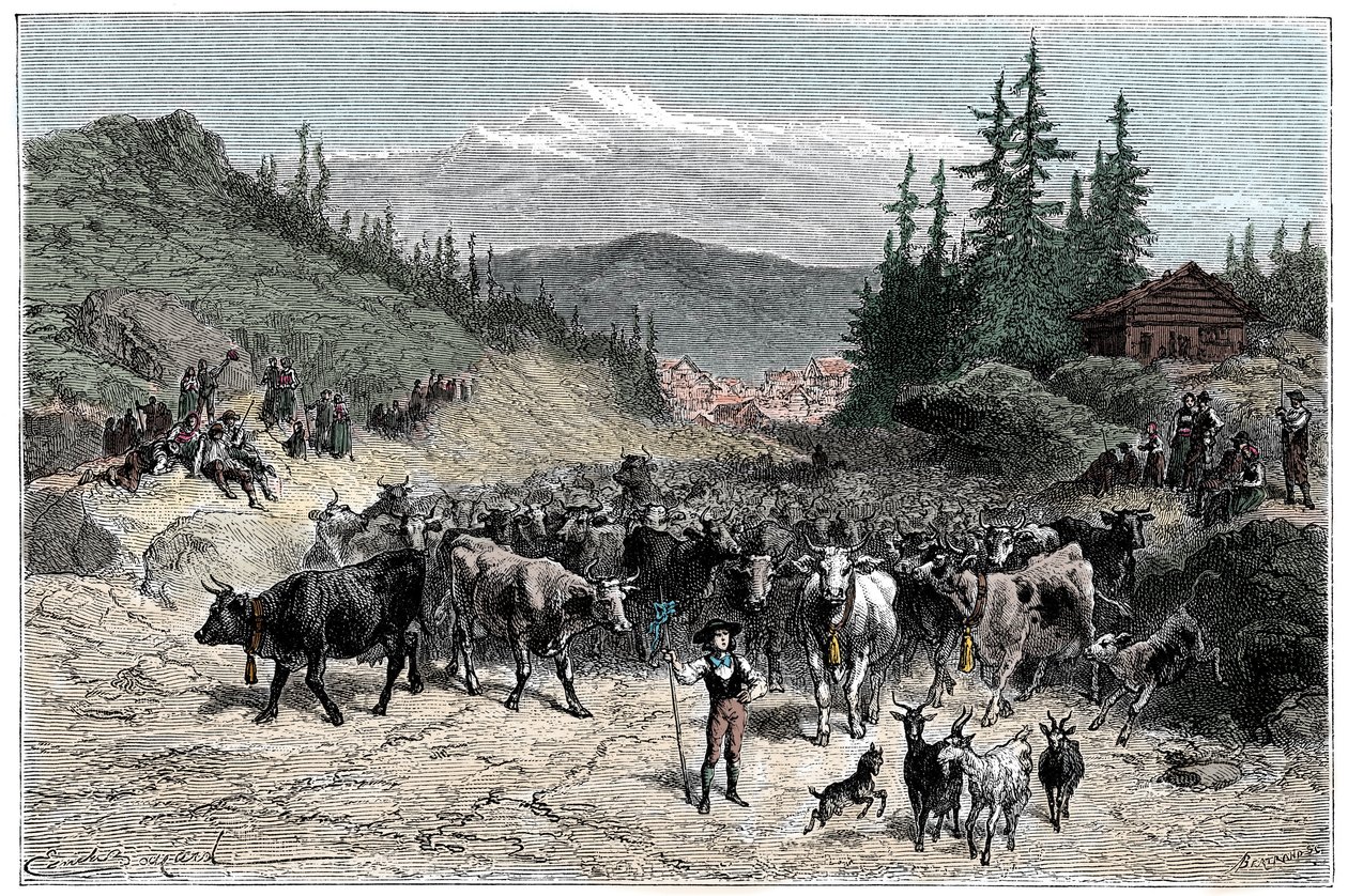 Alpen: das Jodeln oder Abmarsch der Herden (Kühe, Ziegen) zu den Weiden. Illustration von Emile Bayard für das Buch Les Montagnes von Albert Dupaigne, Ausgabe Mame 1881. von Emile Antoine Bayard