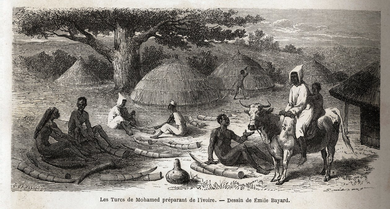 Vorbereitung von Elfenbein, für einen türkischen Händler, Uganda, Zeichnung von Emile Bayard (1837-1891), zur Illustration von Captain Spekes Entdeckungsreise in Afrika von 1860 bis 1863. Gravur in Le Tour du Monde, herausgegeben von Edouard Charton von Emile Antoine Bayard