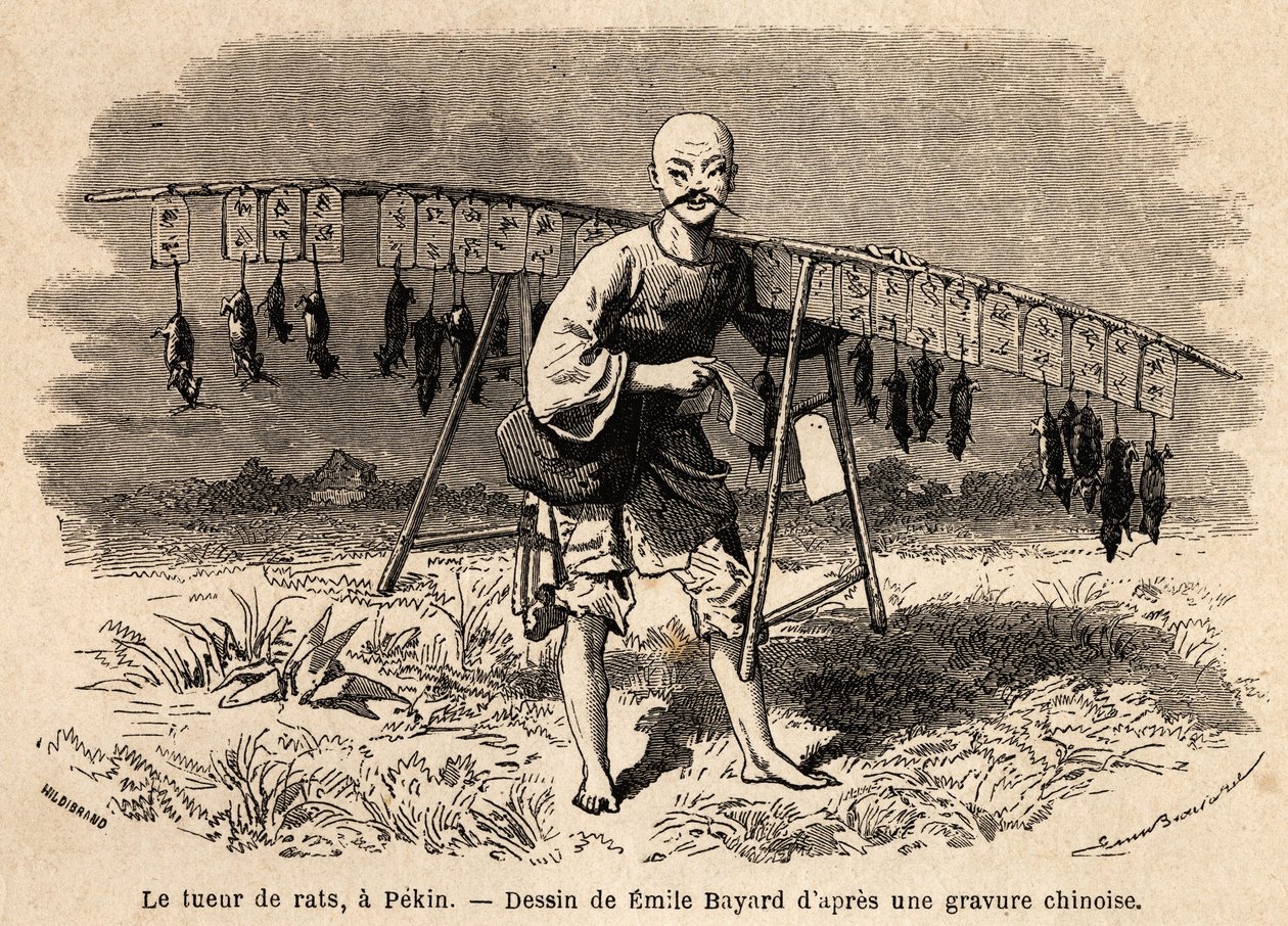 Der Rattenfänger in Peking. Zeichnung von Emile Bayard (1837-1891), zur Illustration der Reise von Shanghai nach Moskau, von 1859 bis 1862, von M. de Bourboulon, Minister von Frankreich in China. Gravur in „Le tour du monde“, herausgegeben von Edouard Char von Emile Antoine Bayard