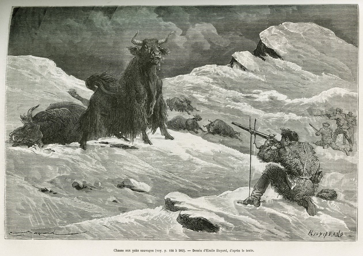 Wildyak-Jagdszene, Zeichnung von Emile Bayard zur Illustration der Reise nach Mongolei und dem Land der Tanguten von 1870 bis 1873, von Oberstleutnant Prjewalski. Gravur in Le tour du monde von Emile Antoine Bayard