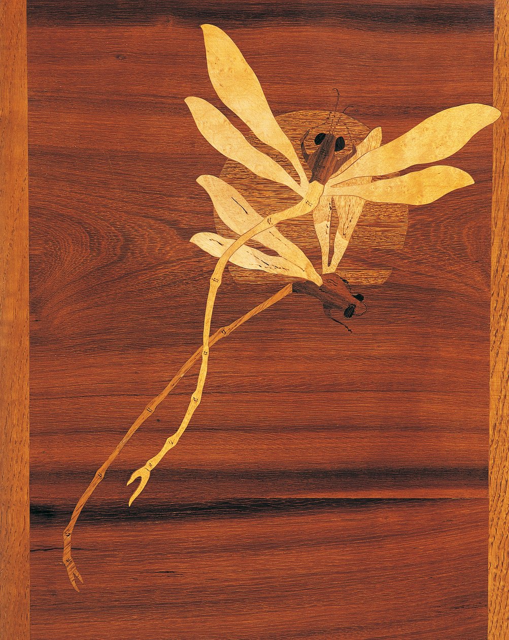 Libellen, Detail aus Jugendstil-Schrank, ca. 1900, von Emile Galle (1846-1904), geschnitzte und eingelegte Walnuss, Frankreich, 20. Jahrhundert von Emile Galle