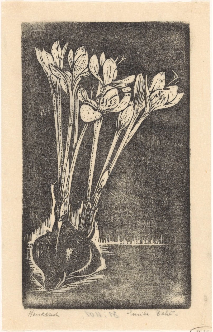 Herbstzeitlose von Emilius Wilhelmus Dehé (signed by artist)