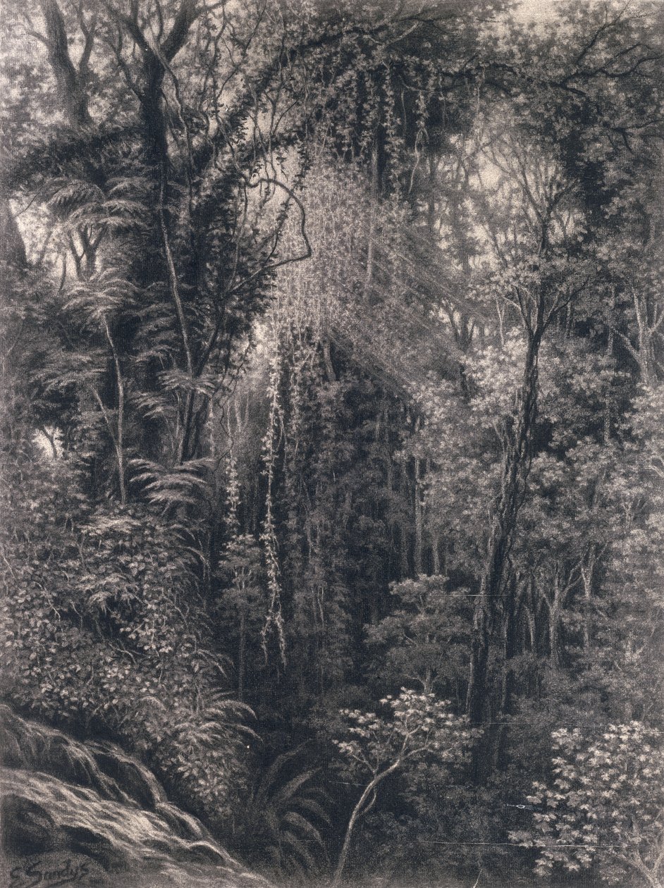 Blick auf die Schlucht oberhalb von Apia, Upolu, Westsamoa, 1877 von Emma Sandys