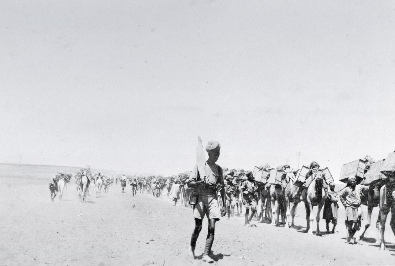 Ein Kamelversorgungstrupp in Mesopotamien während des Ersten Weltkriegs, aus einem Album von Lt. Kindom von English Photographer