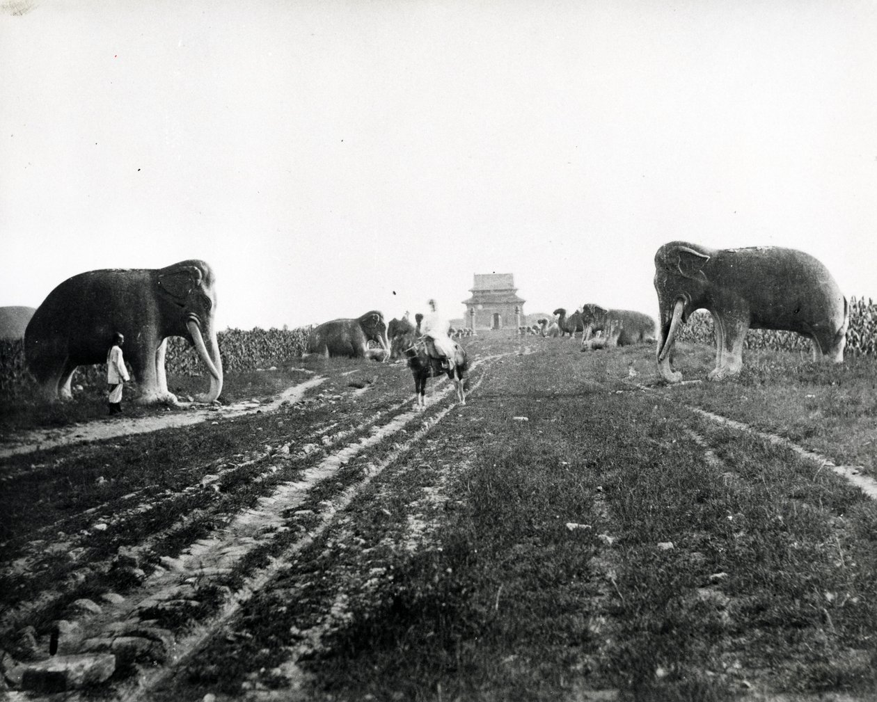 Allee der Wächtertiere zu den Ming-Gräbern, Peking, um 1868-70 von English Photographer