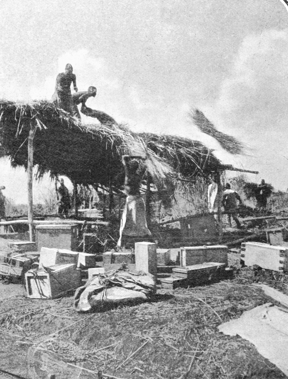 Einheimische bauen ein Rast-Haus, aus einem Artikel mit dem Titel Zu den Bergen des Mondes veröffentlicht in The Graphic, 27. Oktober 1906 von English Photographer