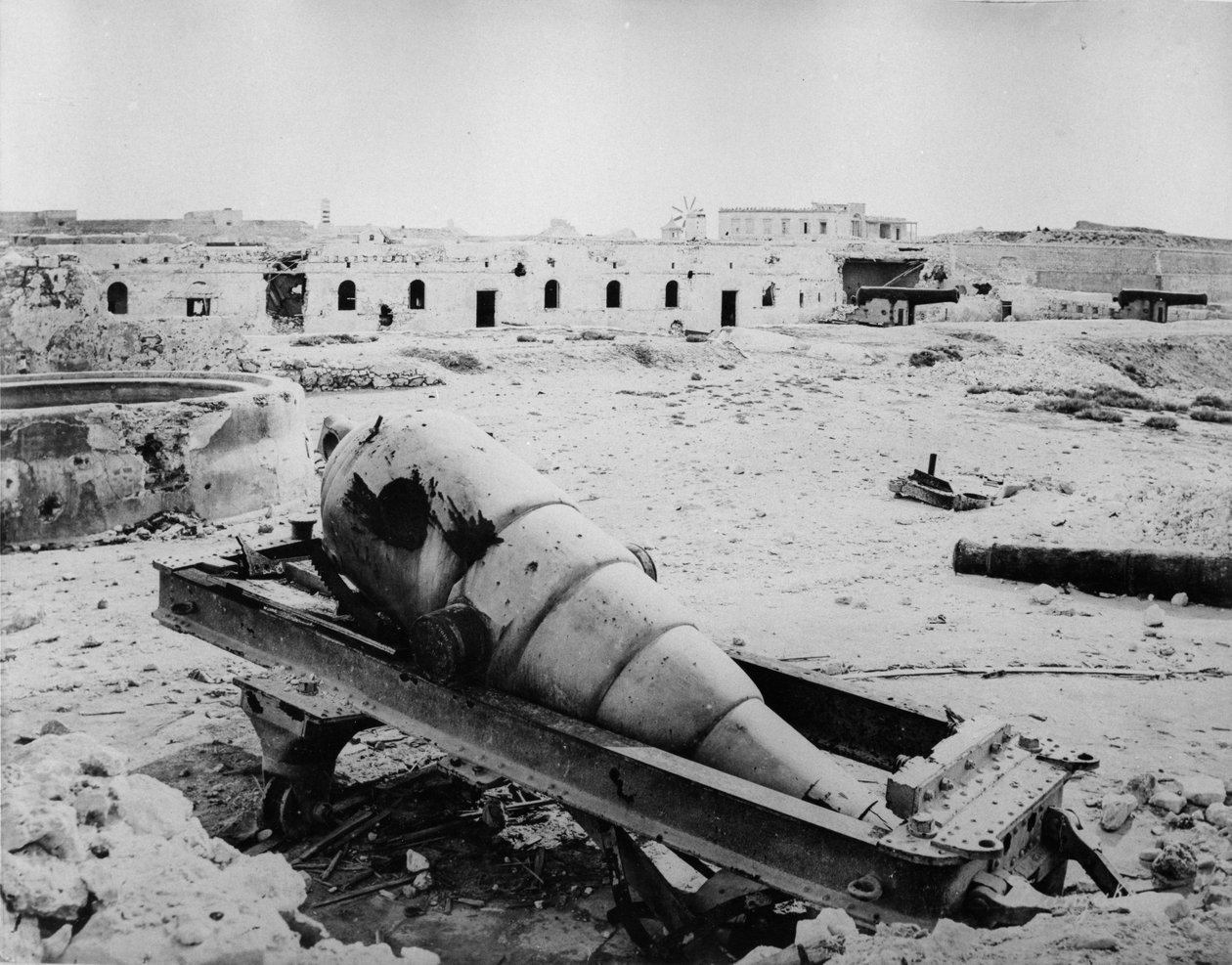 Ruinen und Artillerie in Fort Meks, 1882 von English Photographer