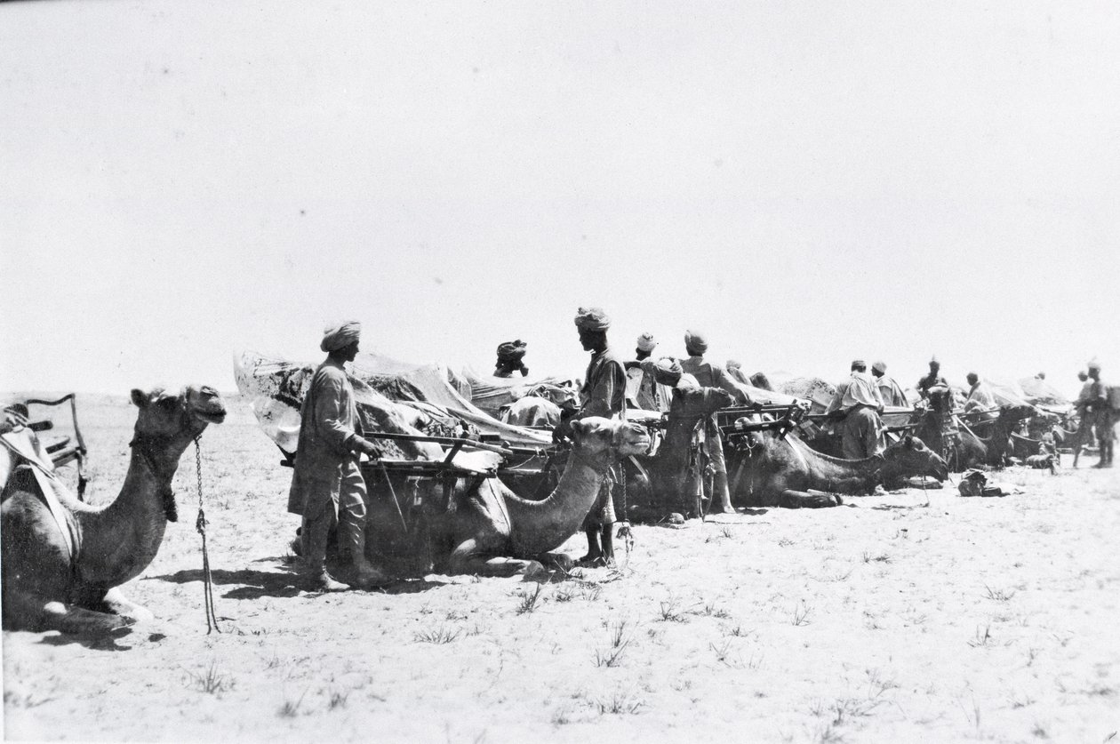 Soldaten mit Kamelen in Mesopotamien während des Ersten Weltkriegs, aus einem Album von Lt. Kindom von English Photographer