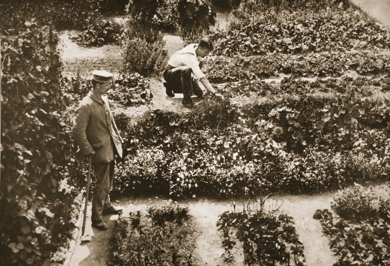 Die Gefängnisgärten, Dorchester, Illustration aus Deutsche Gefangene in Großbritannien (Fotogravur) von English Photographer