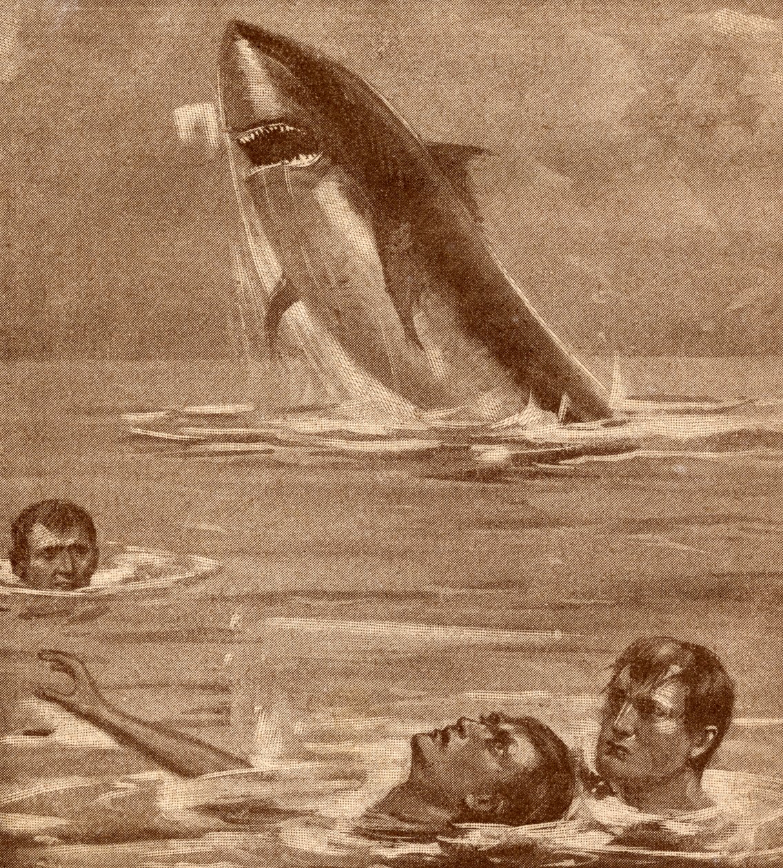 Illustration aus dem 19. Jahrhundert eines Mannes, der einen Schwimmer mit einem Hai im Hintergrund rettet von English School