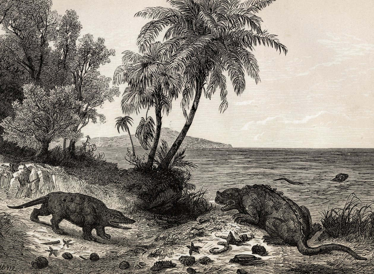 Landschaft aus der Kreidezeit von English School