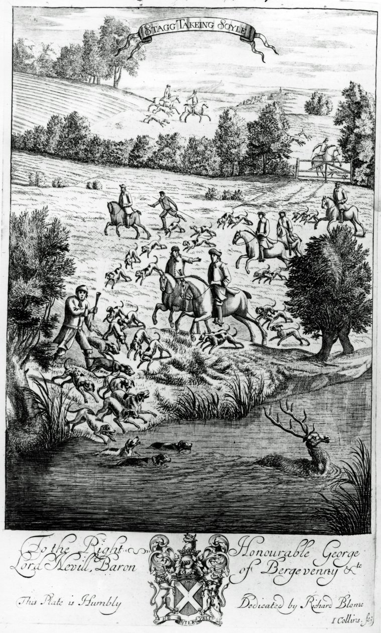 Hirsch nimmt Boden, aus 