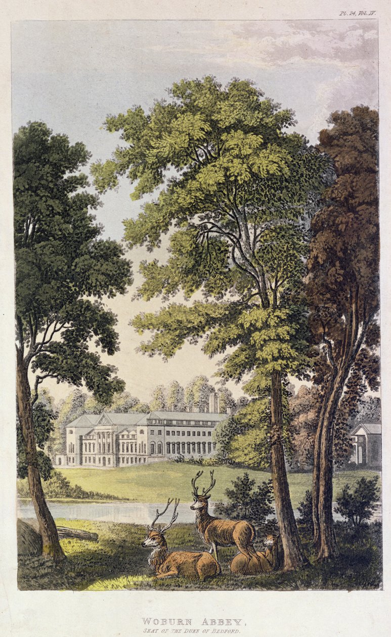 Woburn Abbey, aus Ackermanns 