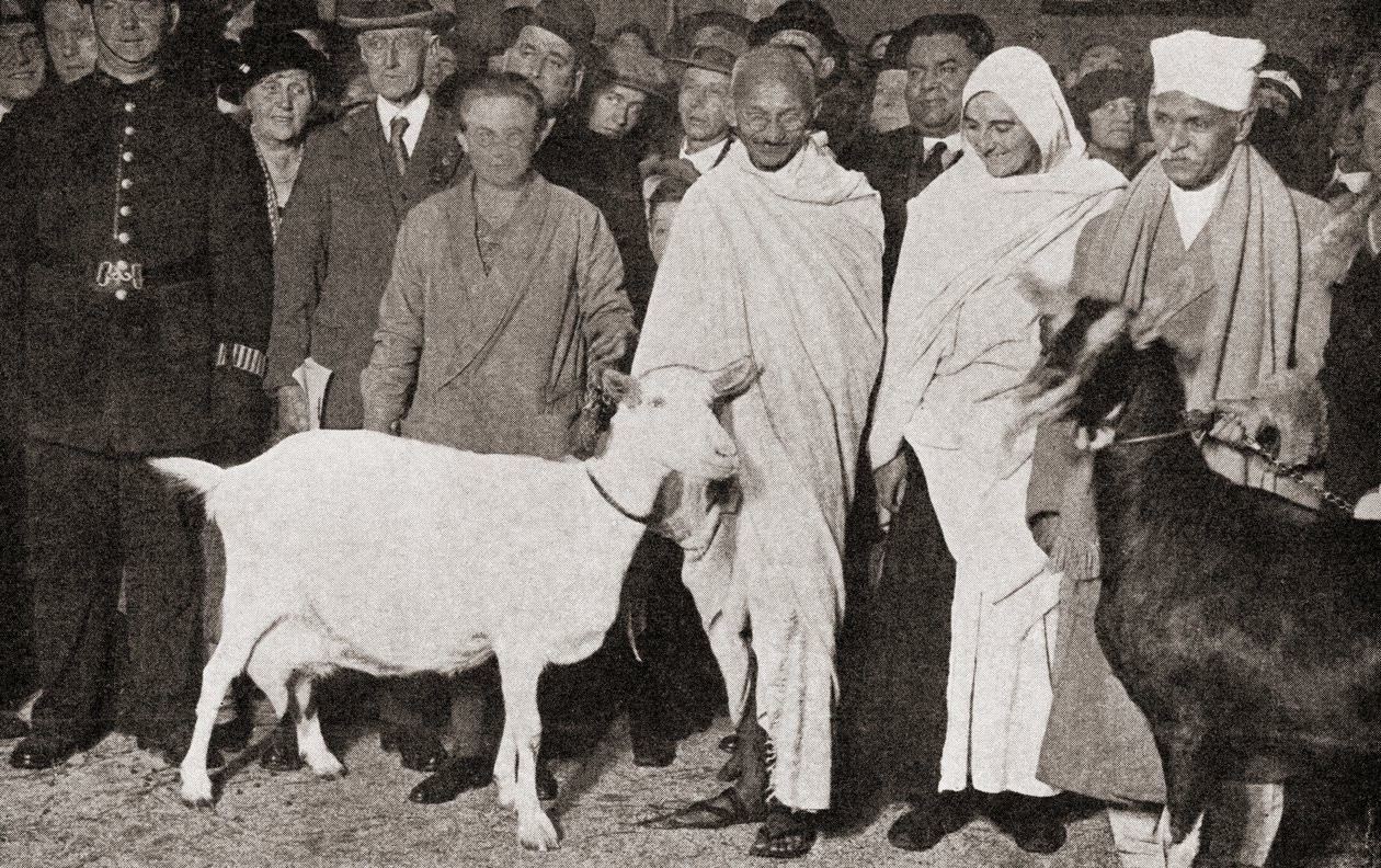 Mahatma Gandhi kommt 1931 mit seiner Schülerin Madeleine Slade und seinen zwei Ziegen in London, England an, aus Die Geschichte von fünfundzwanzig Jahren, veröffentlicht 1935 von English Photographer