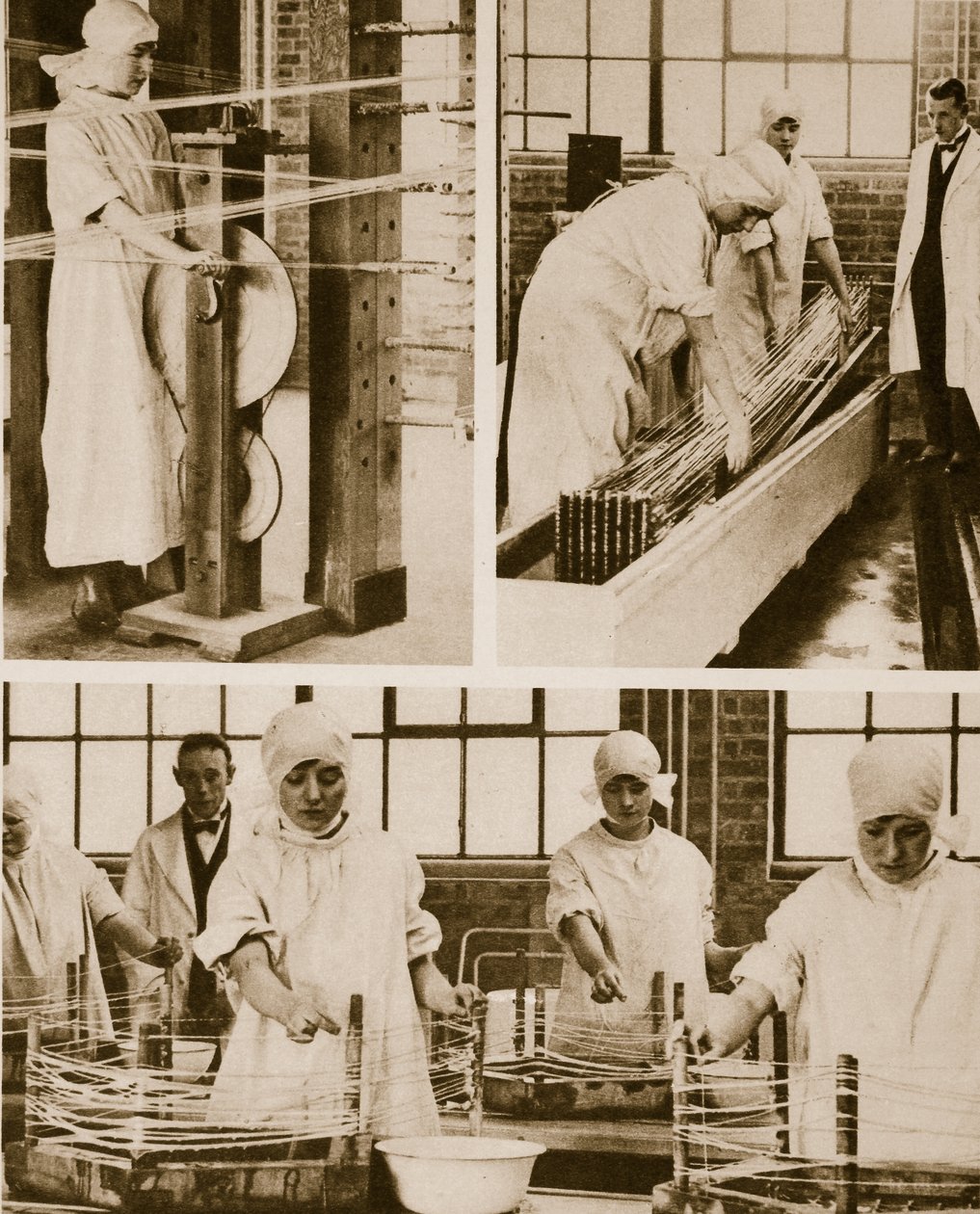 Vorbereitung von Katgut in der eigenen Fabrik des Londoner Krankenhauses von English Photographer