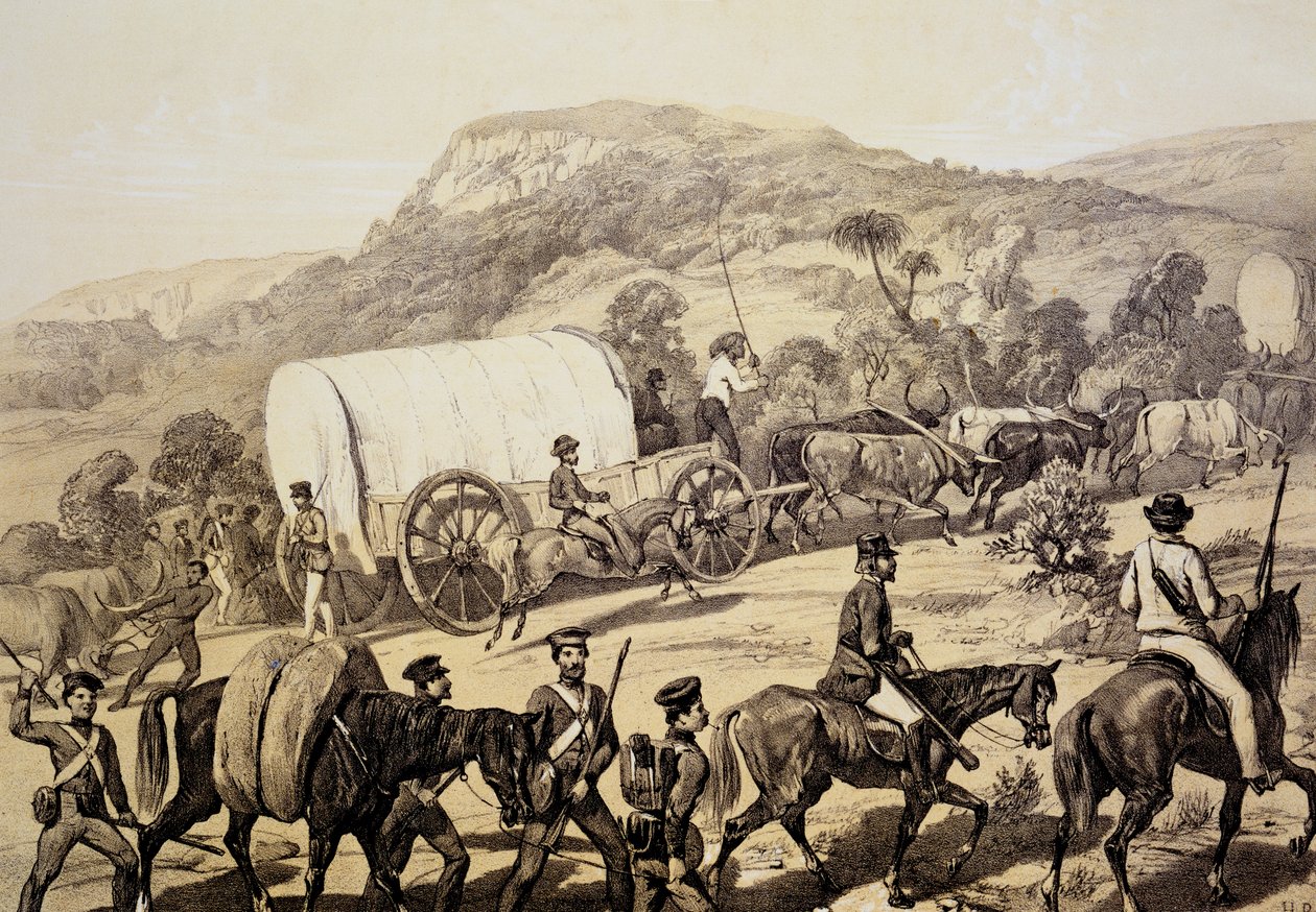 Ein Konvoi von Wagen, aus Szenen in Kafirland und Vorfälle im Kafirkrieg von 1851-53 von English School
