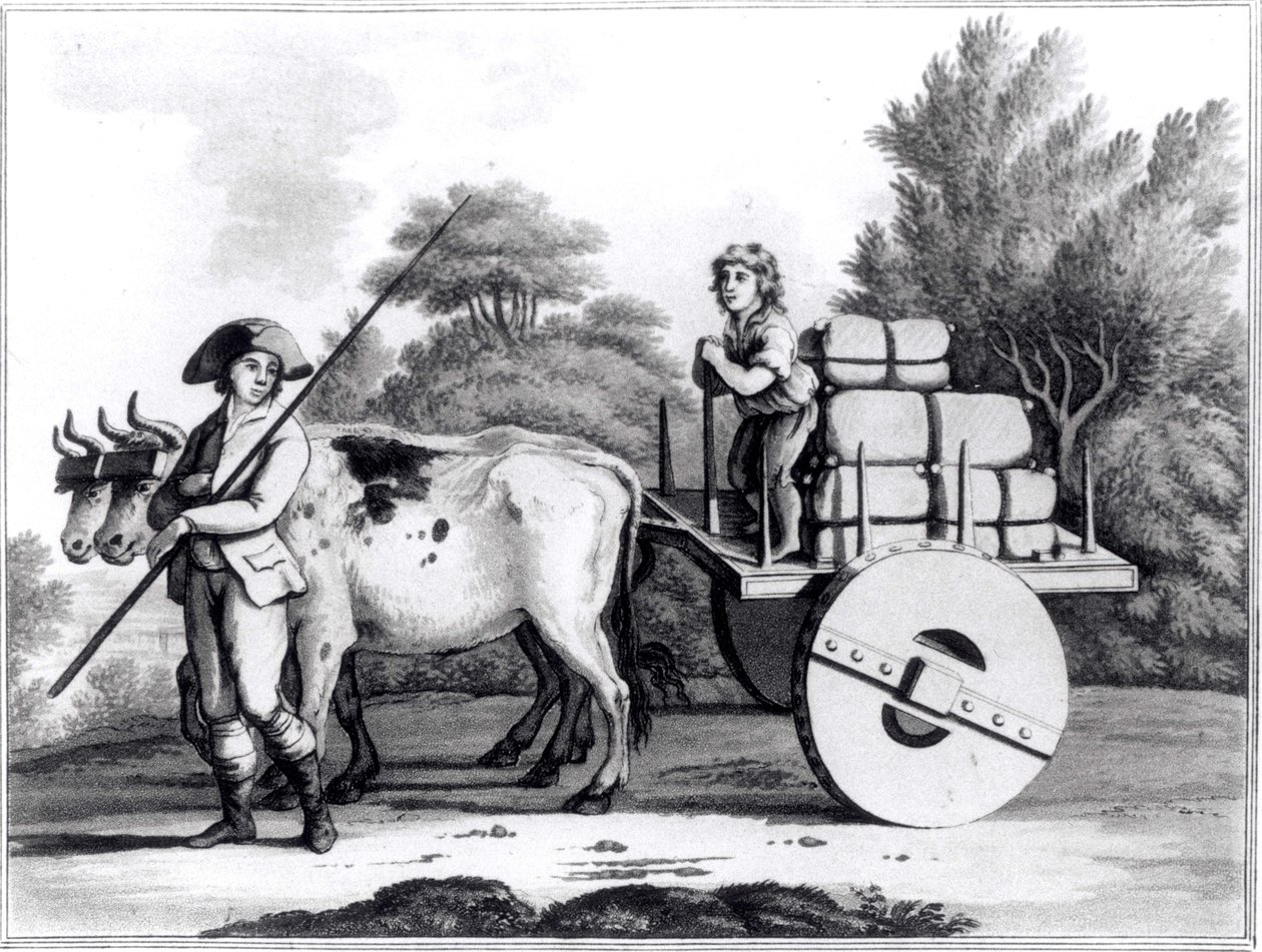 Eine portugiesische Farm, aus A General View of the State of Portugal von James Murphy, veröffentlicht 1797 von English School