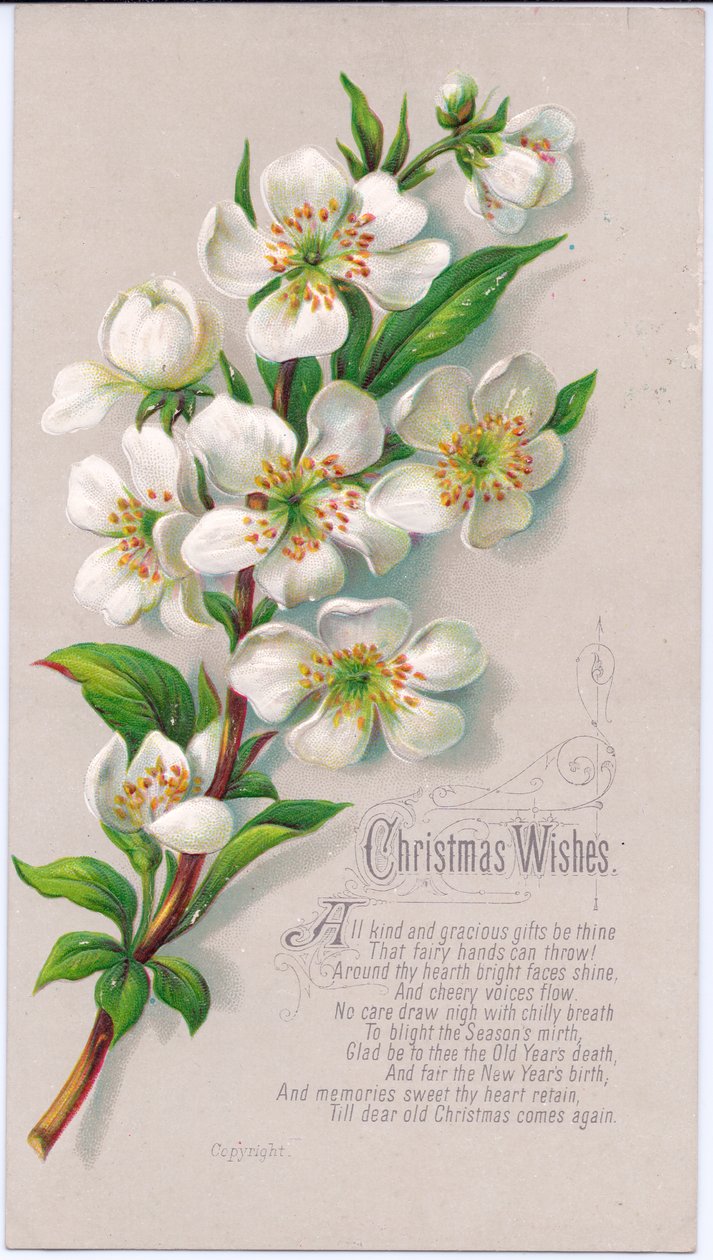 Eine viktorianische Weihnachtskarte mit einem Strauß Weihnachtsrosen und einem Vers, ca. 1880 von English School