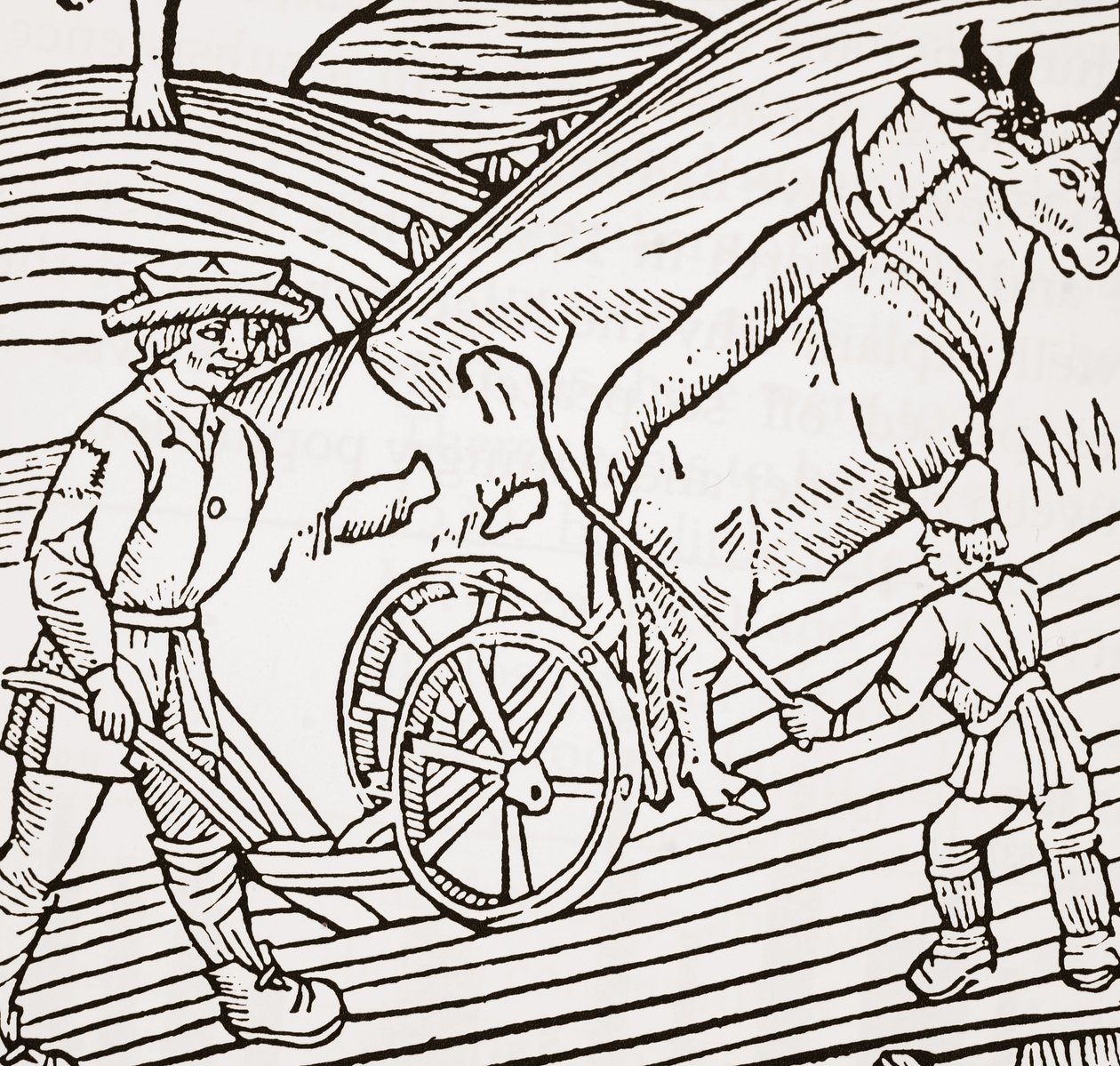Ein Paar Ochsen vor einem Pflug, Titelseite aus John Fitzherberts Boke of Husbandry, erstmals veröffentlicht 1523 von English School