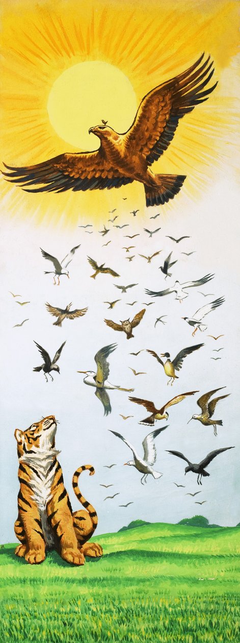 Eine Szene aus dem Volksmärchen König der Vögel von English School