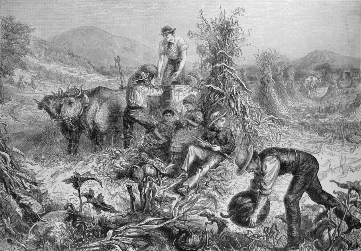 Amerikanische Landwirtschaft: Kürbisse sammeln und Mais schälen, aus 
