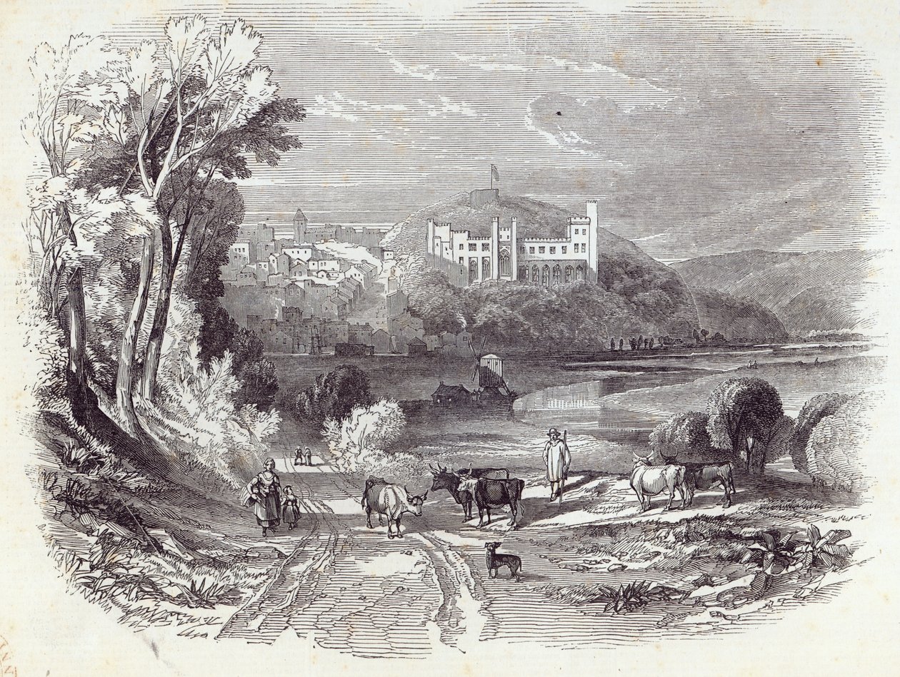 Arundel Castle und Stadt, aus 