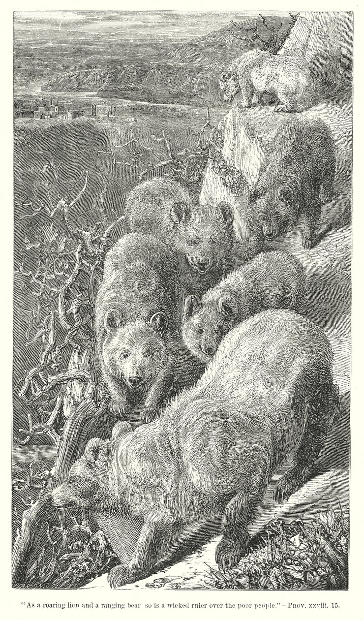 Bären von English School