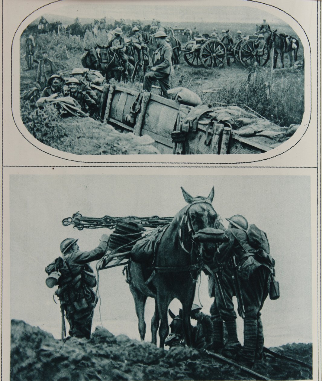 Britische Kanoniere mit Packpferden, Flandern, August 1917 von English School