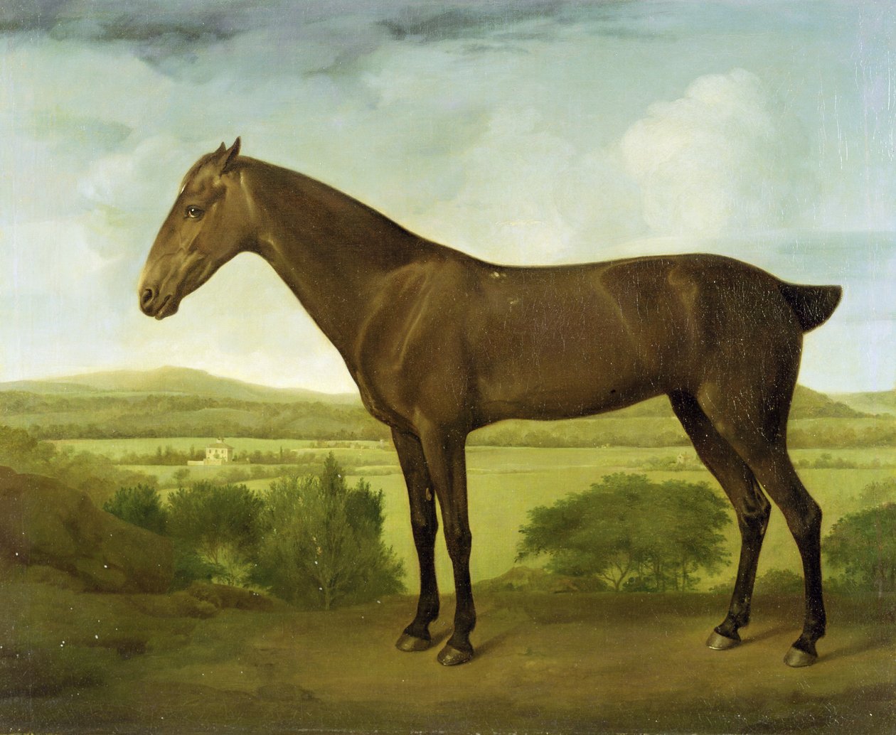 Braunes Pferd in hügeliger Landschaft, ca. 1780-1800 von English School