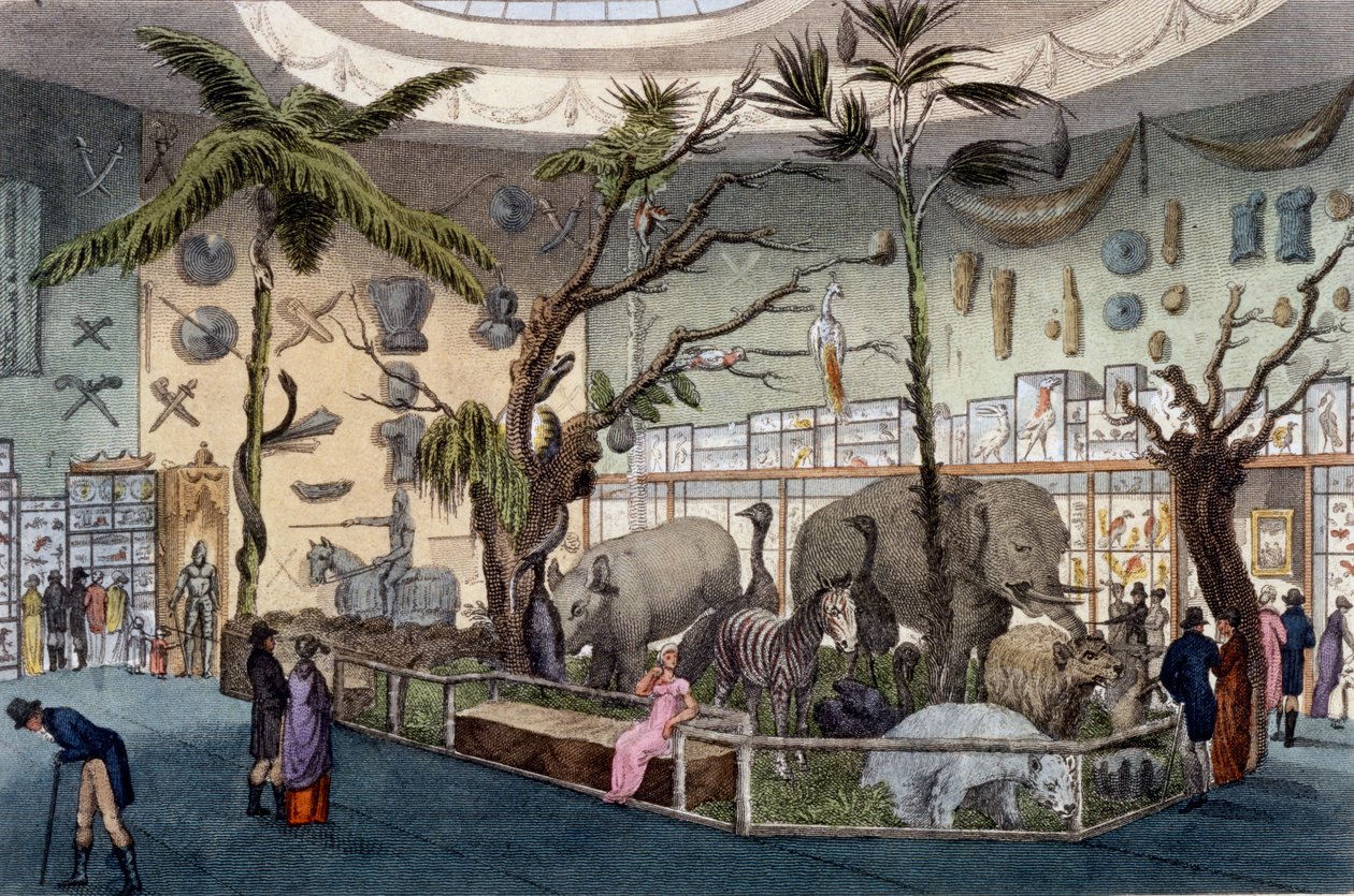 Bullocks Museum, 22 Piccadilly, London, aus Ackermanns Repository of Arts, 1809 von English School