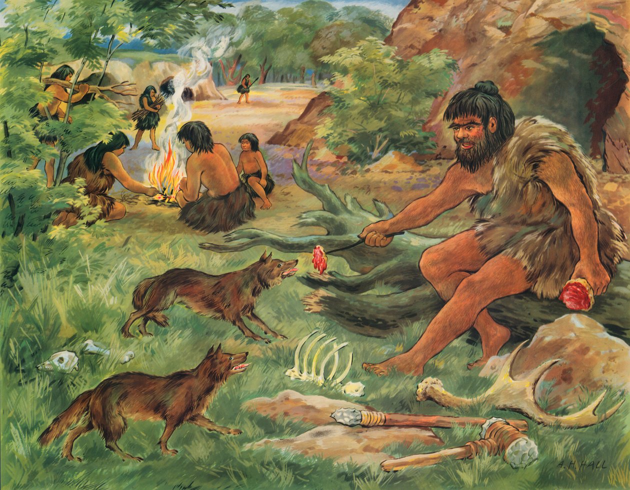 Höhlenmensch freundet sich mit einem jungen Wolf an von English School