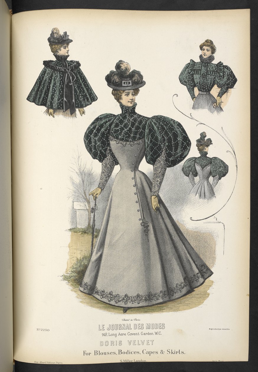 Doris-Samt für Blusen, Mieder, Umhänge und Röcke, Tafel 2250, The Dressmaker and Milliner, 1895 von English School