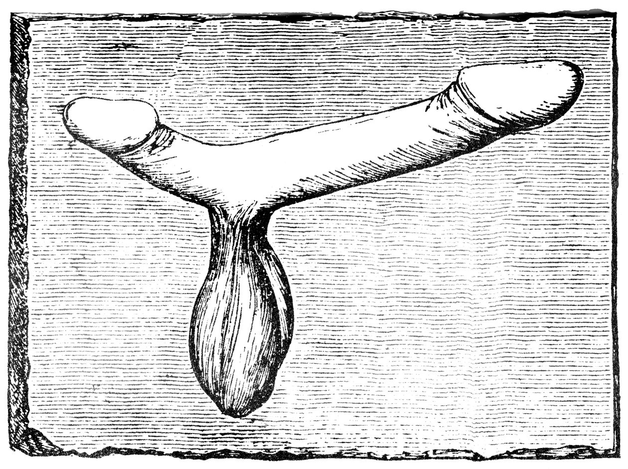 Doppelter Phallus vom Türsturz eines Vomitoriums (Ausgangspassage) im Amphitheater von Nimes (Colonia Nemausus) von English School