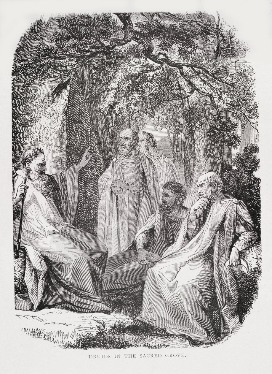 Druiden im heiligen Hain, aus Die Geschichte Frankreichs, von Emile de Bonnechose, veröffentlicht von Ward, Lock und Co, London von English School