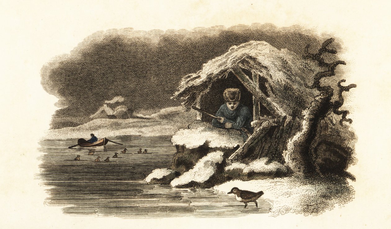 Europäischer Wasseramsel geht in den See Nantua, Frankreich, und bleibt untergetaucht auf dem Grund des Sees in einer Luftblase von English School