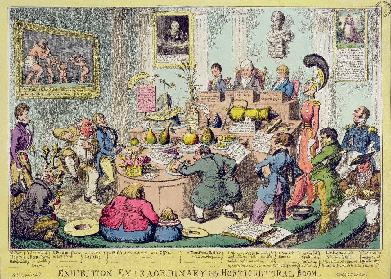 Außergewöhnliche Ausstellung im Gartenbauzimmer, geätzt von George Cruikshank (1792-1878), veröffentlicht von G. Humphrey, 1826 (farbige Radierung) von English School