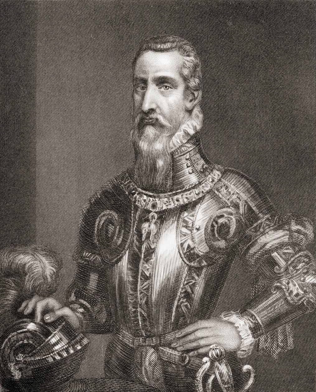 Fernando Alvarez de Toledo y Pimentel, aus 