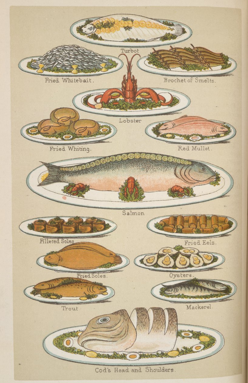 Fischgerichte, aus 