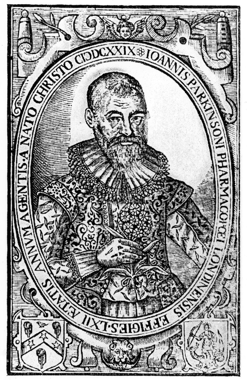 Frontispiz für Paradisi in Sole Paradisus Terrestris von John Parkinson, veröffentlicht 1629 von English School