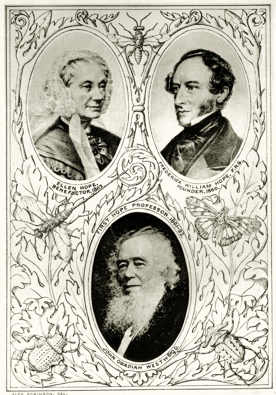 Frontispiz aus The Hope Reports, Bd. II, 1897-1900, herausgegeben von Edward B. Poulton, Oxford, 1901 von English School
