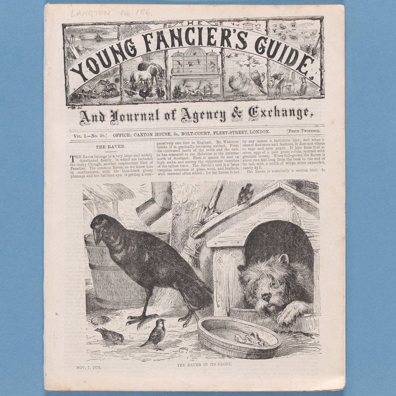 Frontispiz aus Der Leitfaden für junge Liebhaber, 1874 von English School