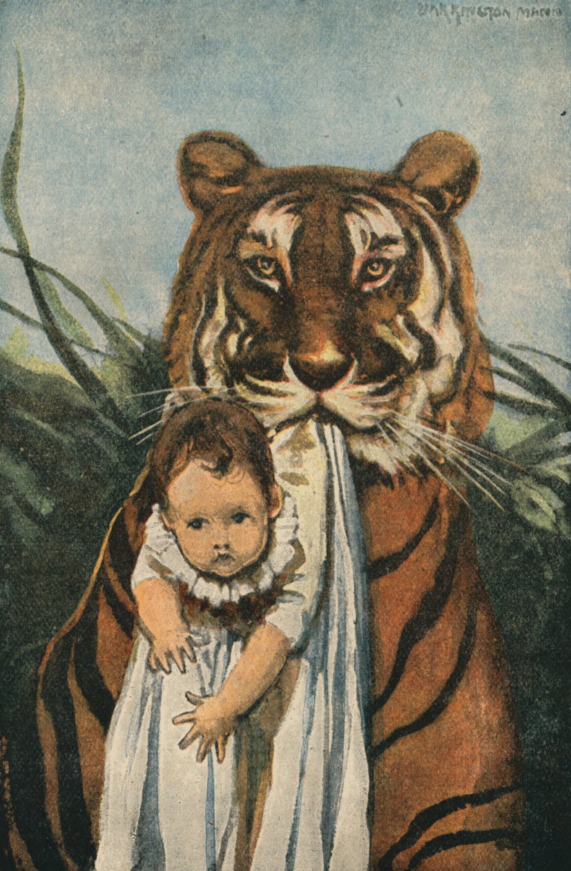 Guter Tiger von English School