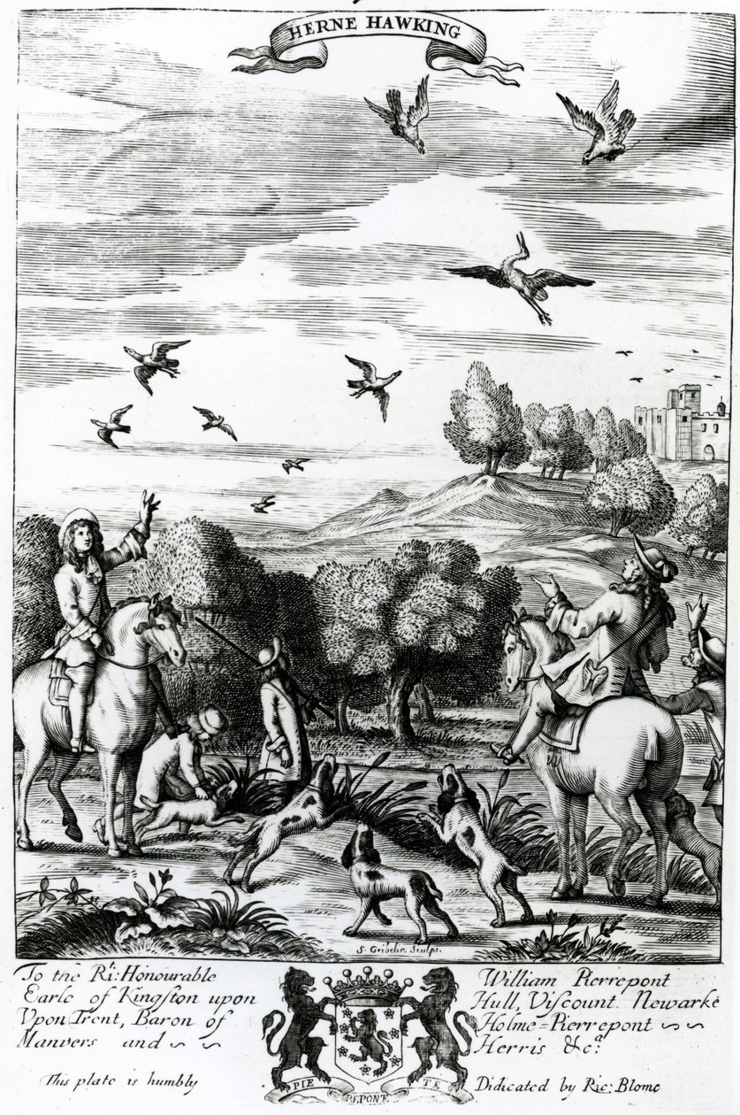Herne beim Beizjagen, aus 